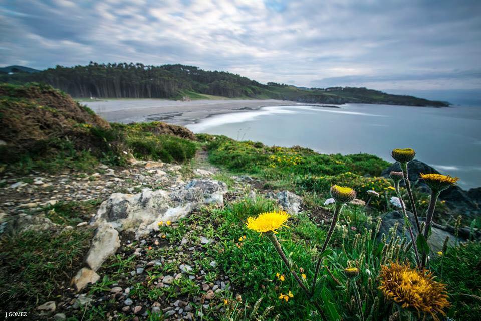 Playa de Frejulfe