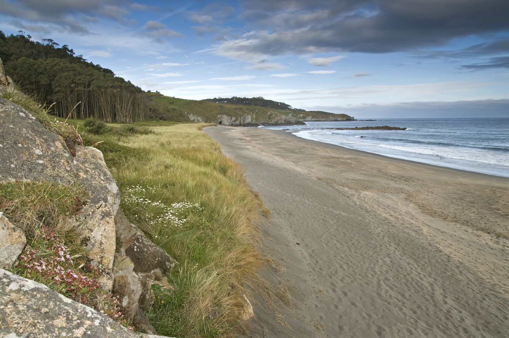 Playa de Frejulfe