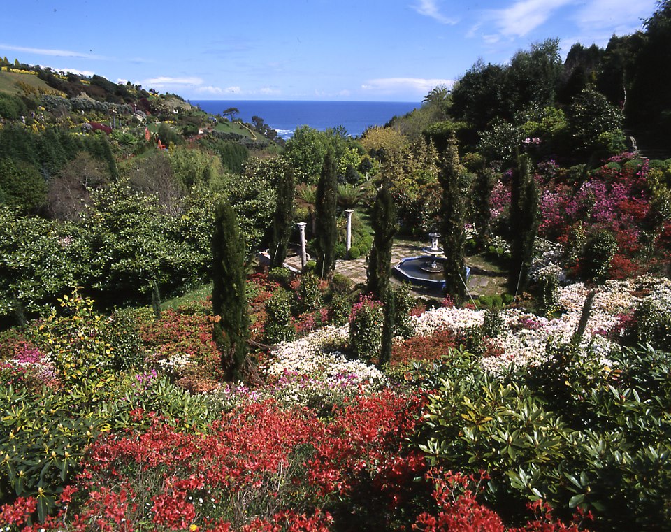 Jardines Fonte Baixa