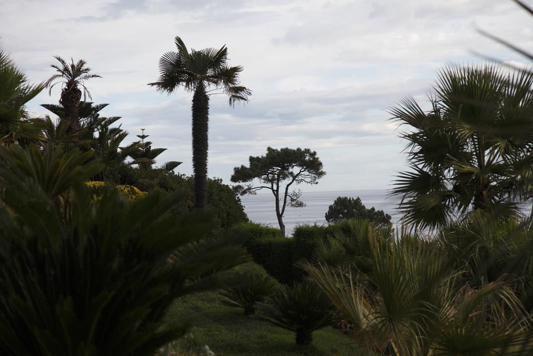 Jardines Fonte Baixa