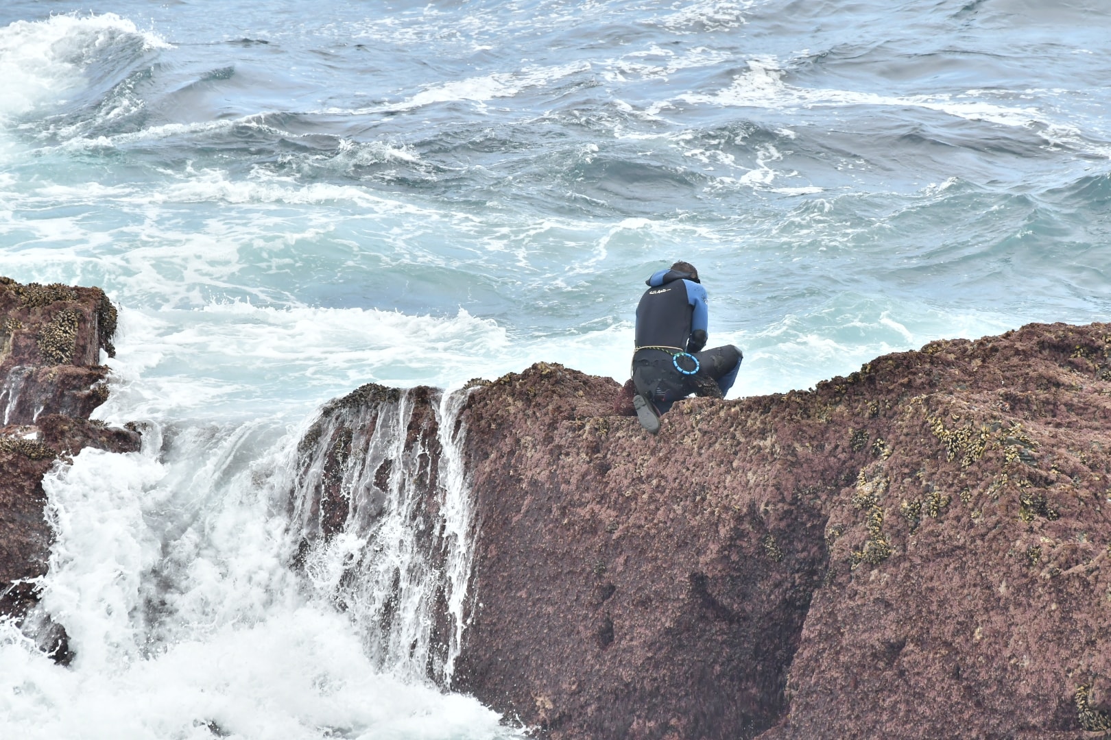 Percebeiros