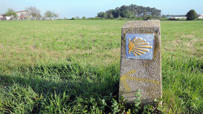 Camino de Santiago de la Costa