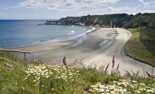 Playa de Barayo